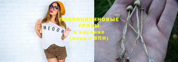 молекула духа Баксан