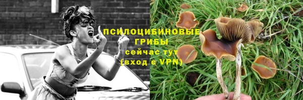 молекула духа Баксан