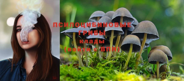 мяу мяу мука Балахна